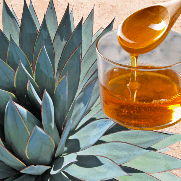 agave nectar, raw | organic | sold by the ounce