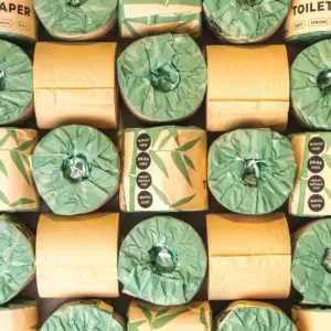 bamboo toilet paper panda eco paper | toxin free & biodegradable – sold by the roll