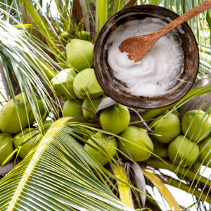 coconut oil | organic | refined | sold by the ounce