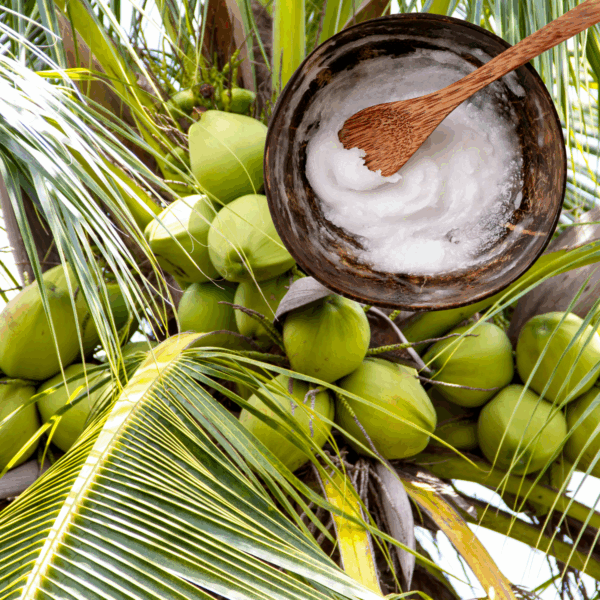 coconut oil | organic | refined | sold by the ounce