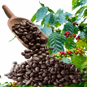 drystack historically bold whole coffee beans – sold by the ounce