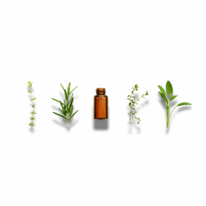 essential oils | refillable natural scents by the ml