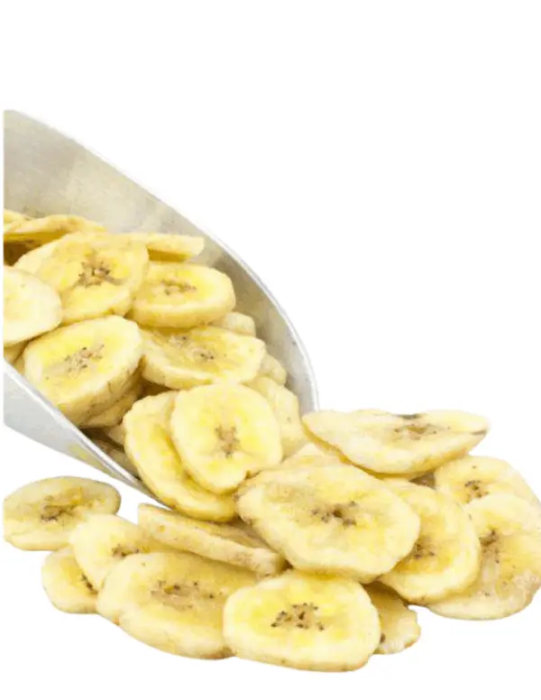 Scoop spilling organic sweetened dried banana chips on white background.
