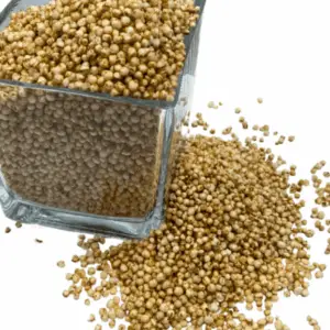 organic puffed quinoa – sold by the ounce | clnf