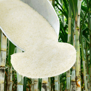 sugar cane juice crystals