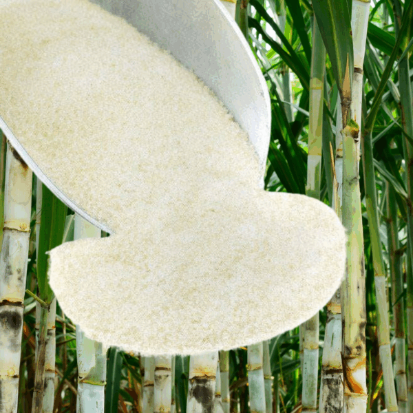 sugar cane juice crystals